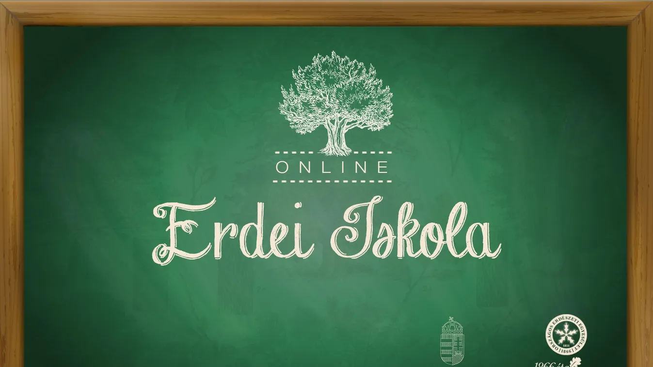 Holnaptól nyomolvasást és gyógynövényismeretet is tanulhanak online a gyerekek