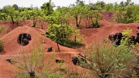 Téglavörös színben izzanak a dombok a vértesi falucska határában