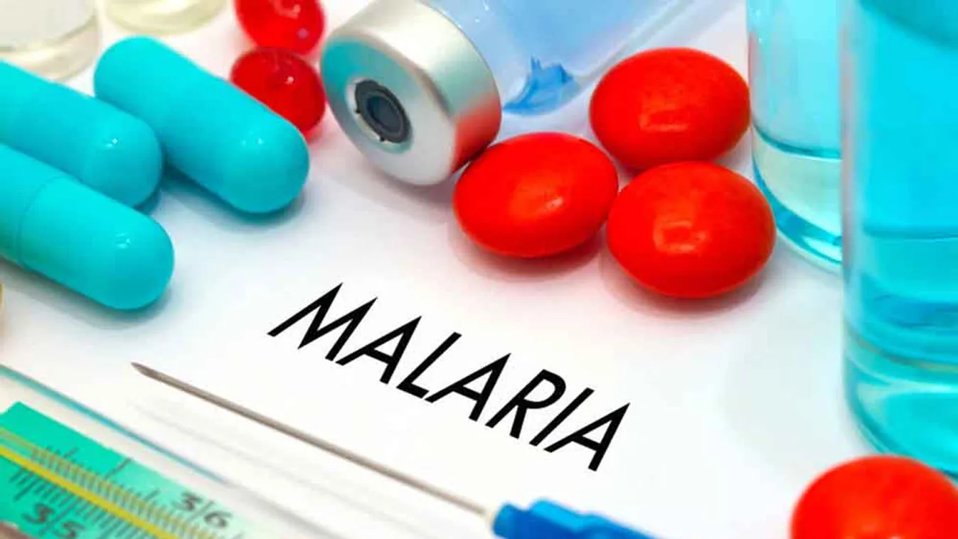 A malária ellen teljes védelmet nyújtó mikrobát fedeztek fel