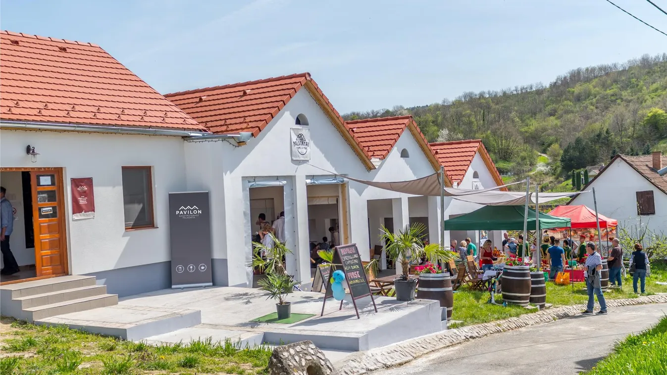 Palkonyai programok ínyenceknek és szabadba vágyóknak