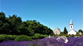 Rejtett utakon jártunk a Káli-medence láthatatlan tavainak nyomában