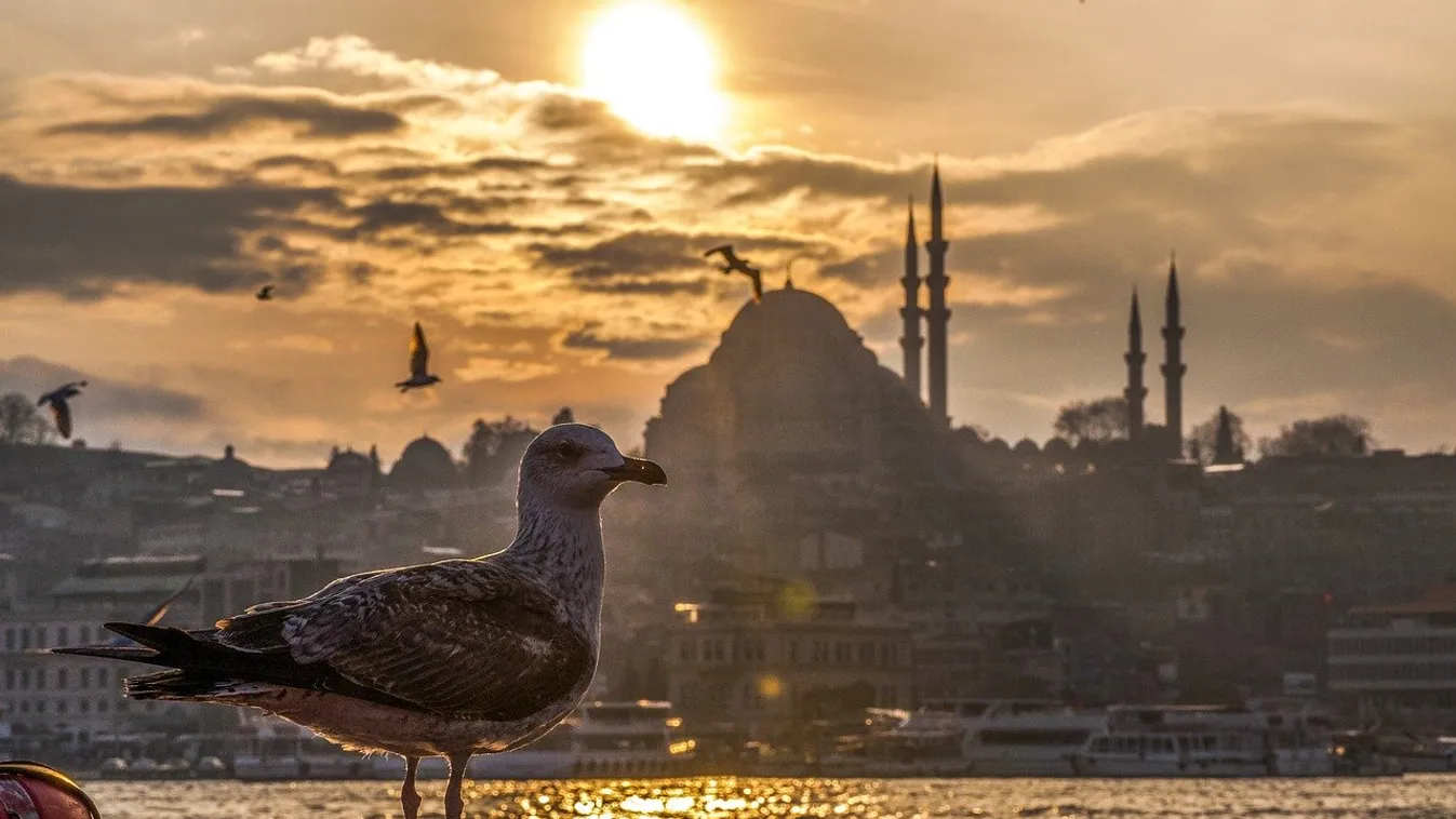 Július közepétől visszatér Ferihegyre a Turkish Airlines