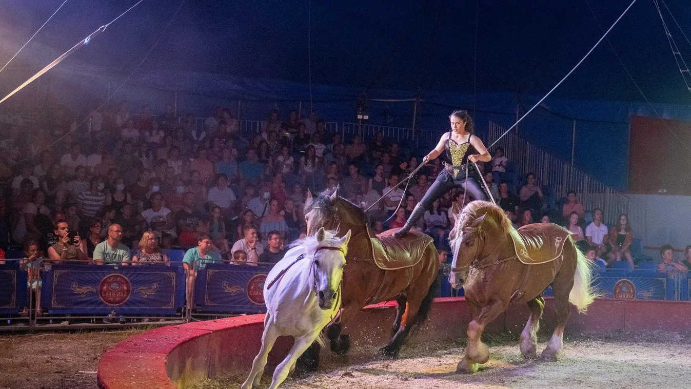 A Cirkuszok Éjszakája várja ebben a balatonparti városban