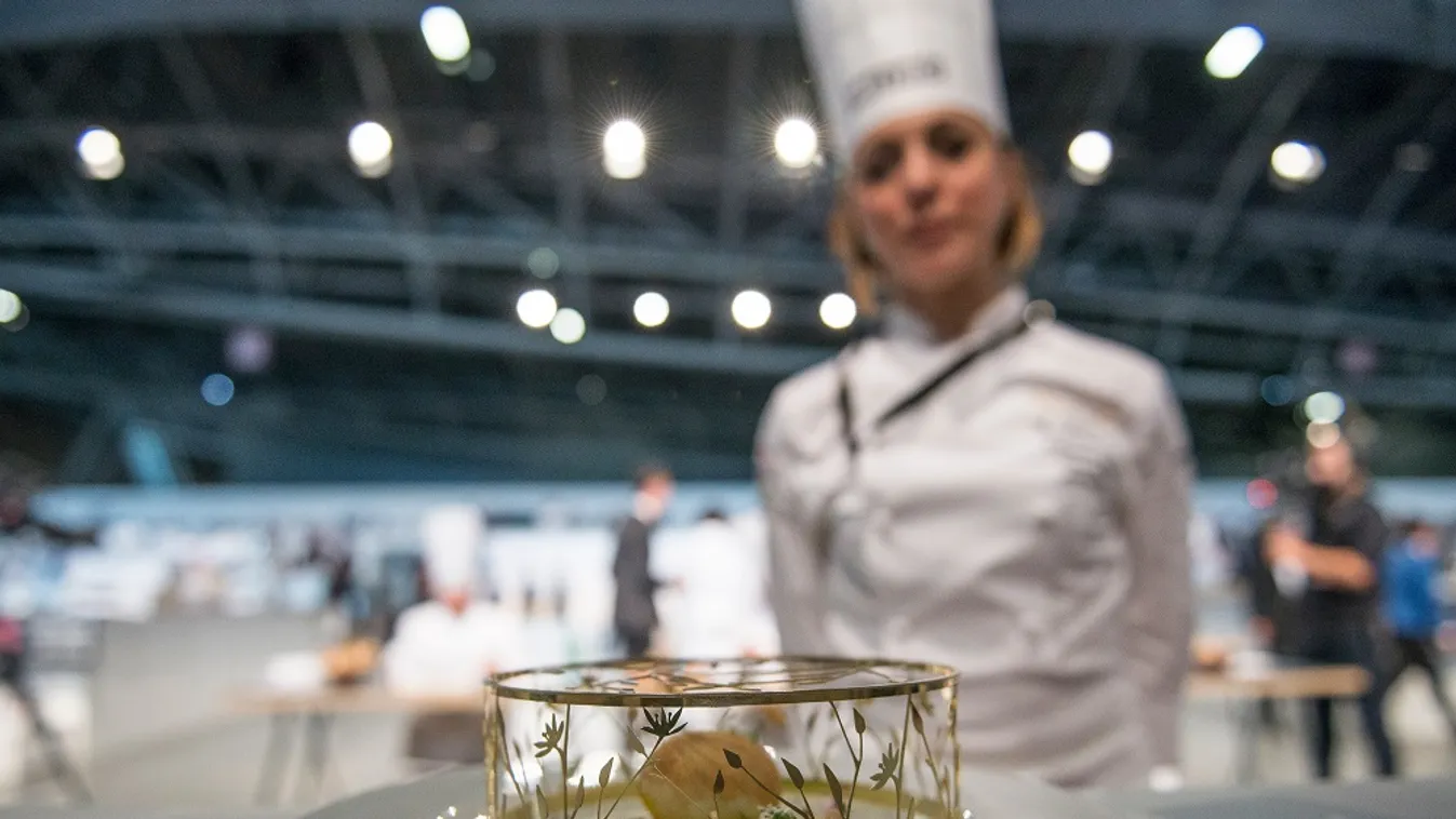 Fürj és szürkeharcsa kerül majd a Bocuse döntősök elé Tallinban