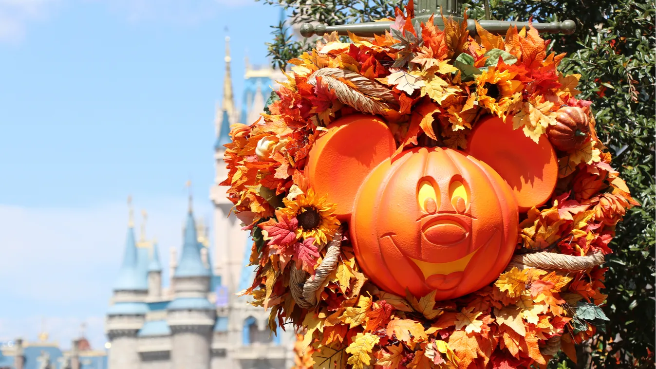 Lefújták a Halloween-partit, a Disney cserébe enged a felnőtteknek