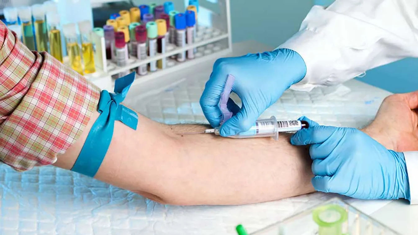 Vérvételtől a leletig - Mi történik egy korszerű magzati diagnosztikai laboratóriumban?