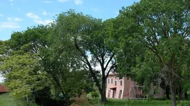 Saját szigetet bérelhet Velence mellett