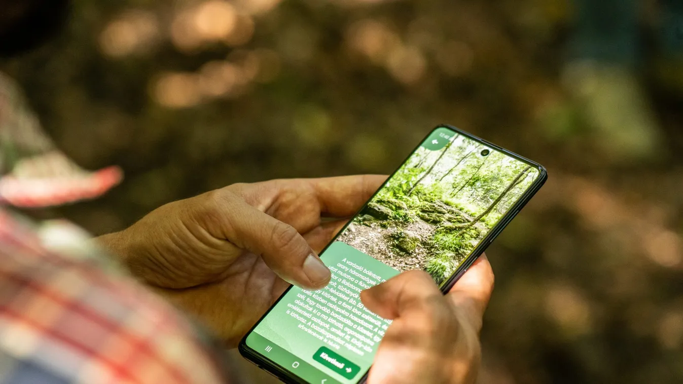 Tartsa mobilját a fa odvához, a Digitális Vándor megmondja, ki lakik benne!