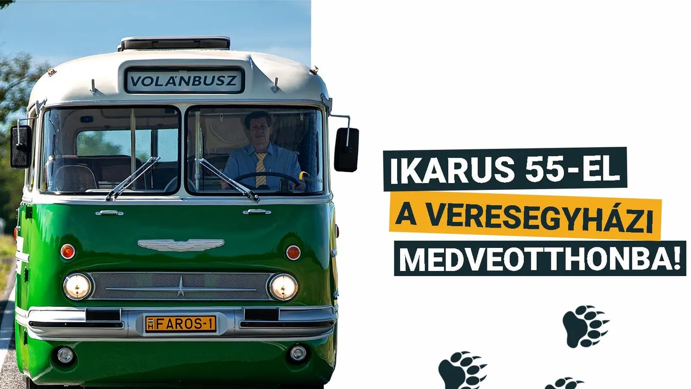 Jó bulinak ígérkezik medvéket nézni egy ősrégi autóbusszal