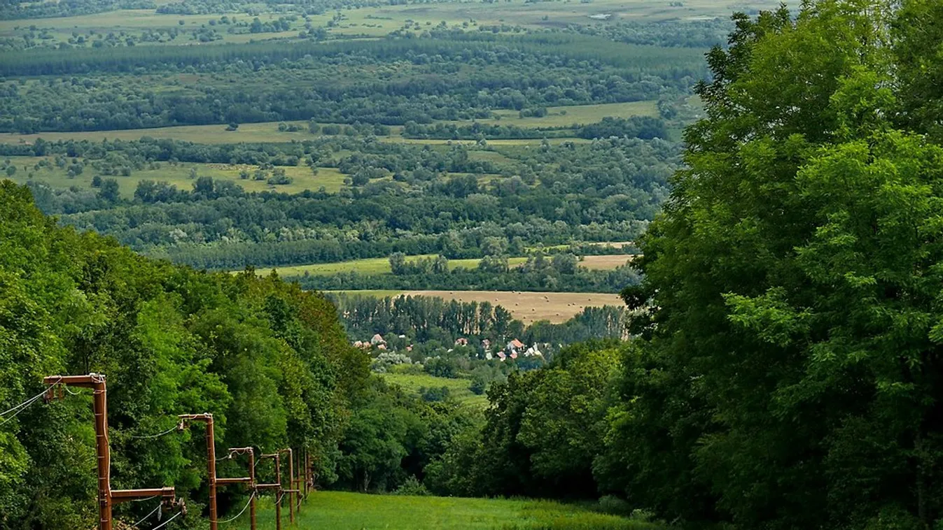 Dűlőtúrával, sétáló kóstolóval és kultúrával várja Tokaj a Szüreti Napokon