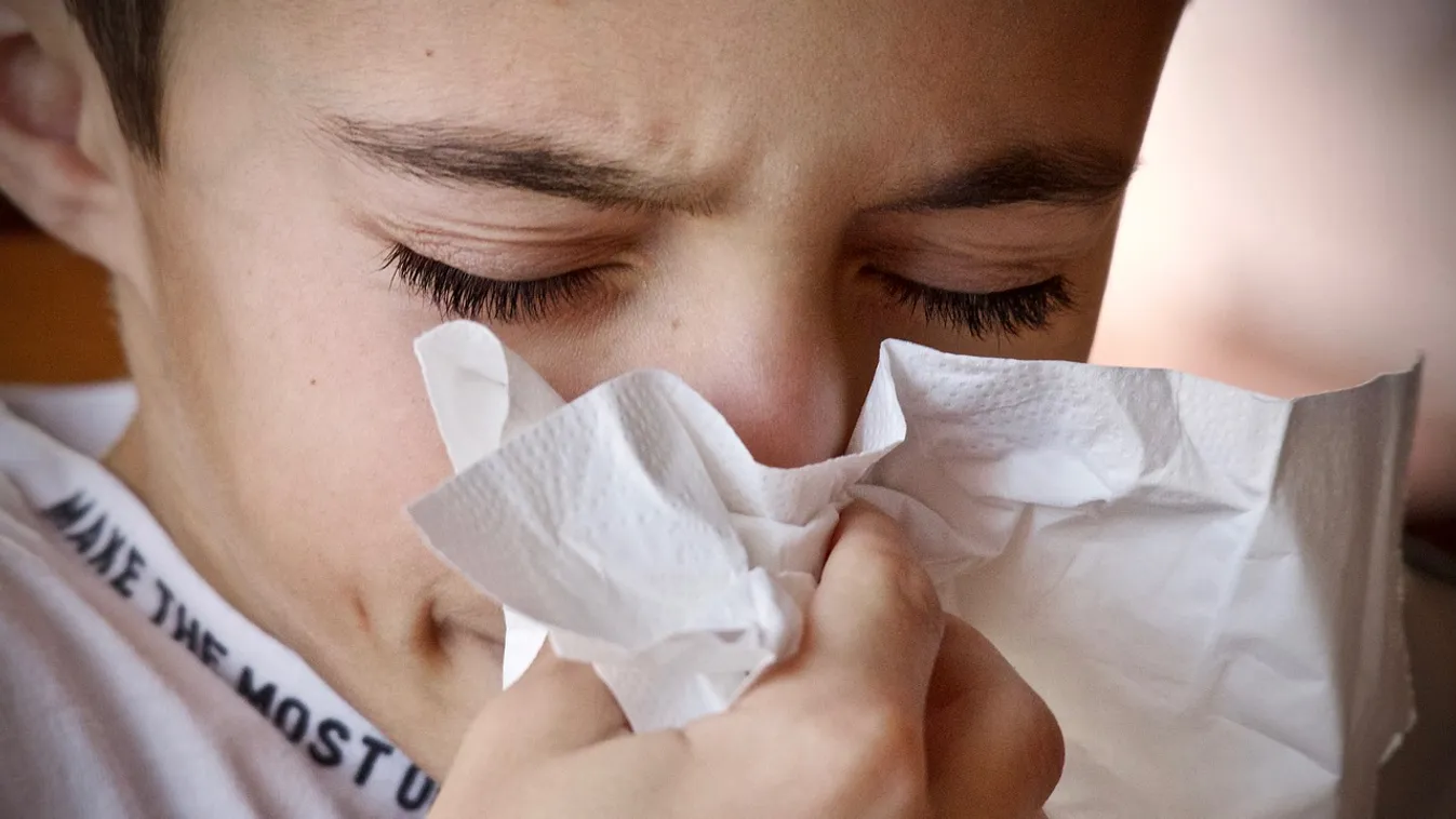 Nátha, influenza, vagy koronavírus?