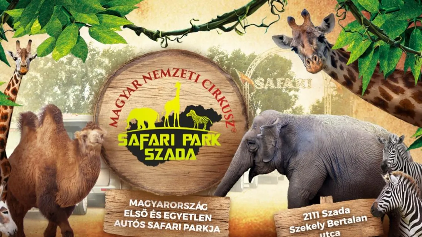 Ezúttal meg is simogathatják az állatokat a szadai szafaripakban