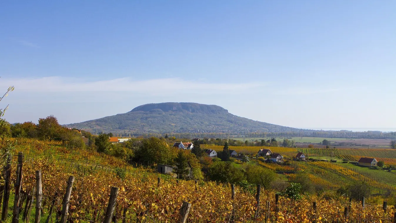 Meghitt vacsorák, kirándulások, borozás, családi programok várják a Balatonnál