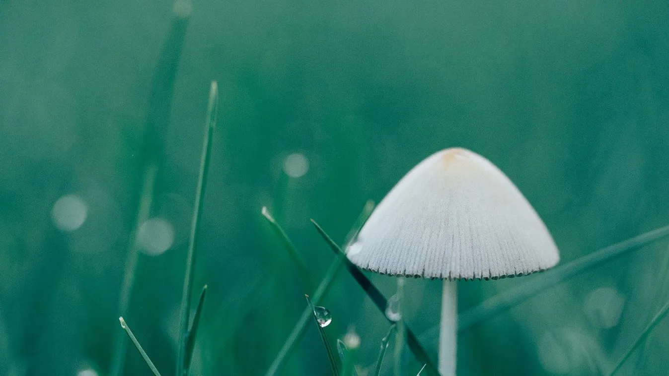 Ilyen idő vár ránk a hétvégén és a jövő héten