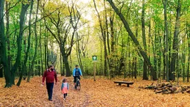 Kültéri szabadulószoba várja ebben a Pest megyei erdőben