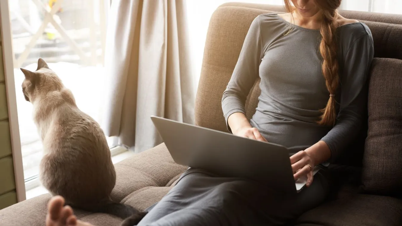 Online programok a térképböngészéstől a koncerthallgatásig