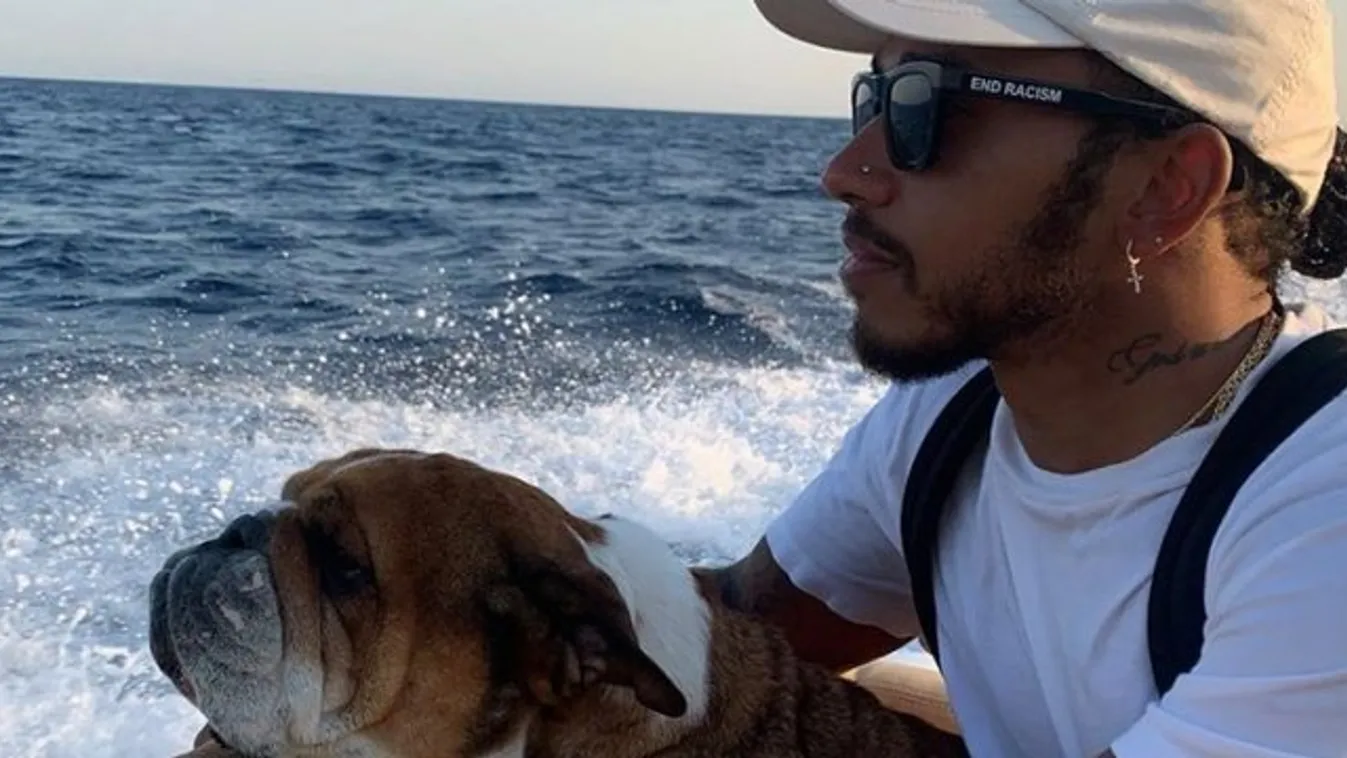 Lassú kínhalálra ítélte kutyáját Lewis Hamilton – a rajongói teljesen kiakadták rá