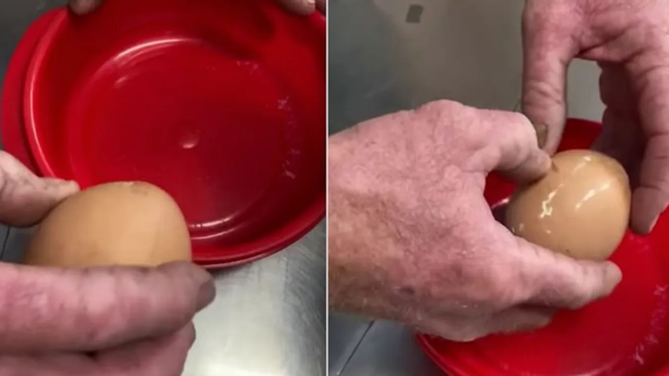 Feltörték a tojást – eldobja az agyát, ha megtudja, mi volt benne! videó