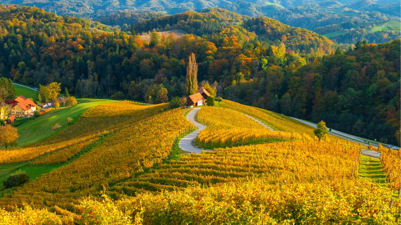 Maribor, ahol boroshordós születésélményt is kínálnak a turistáknak