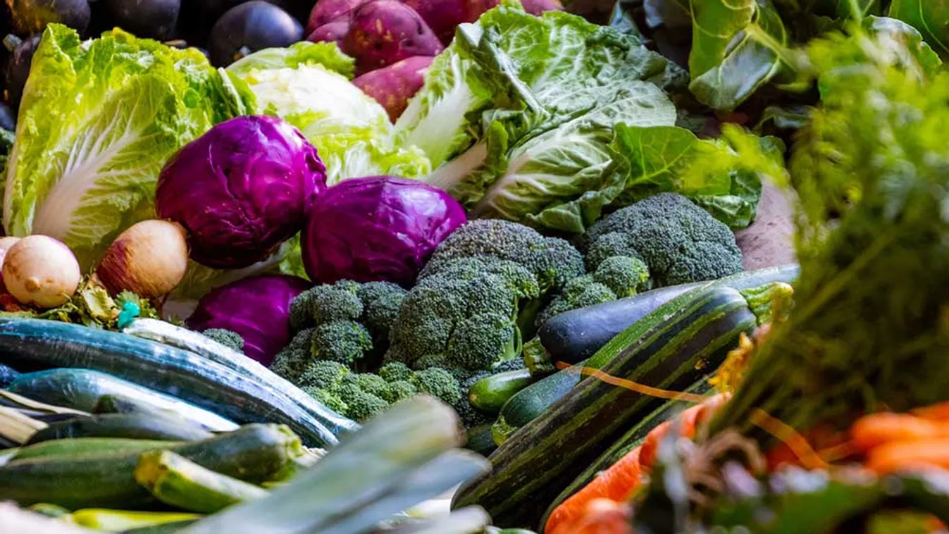 Egészségünk védelméhez vessük be az antioxidánsokat !