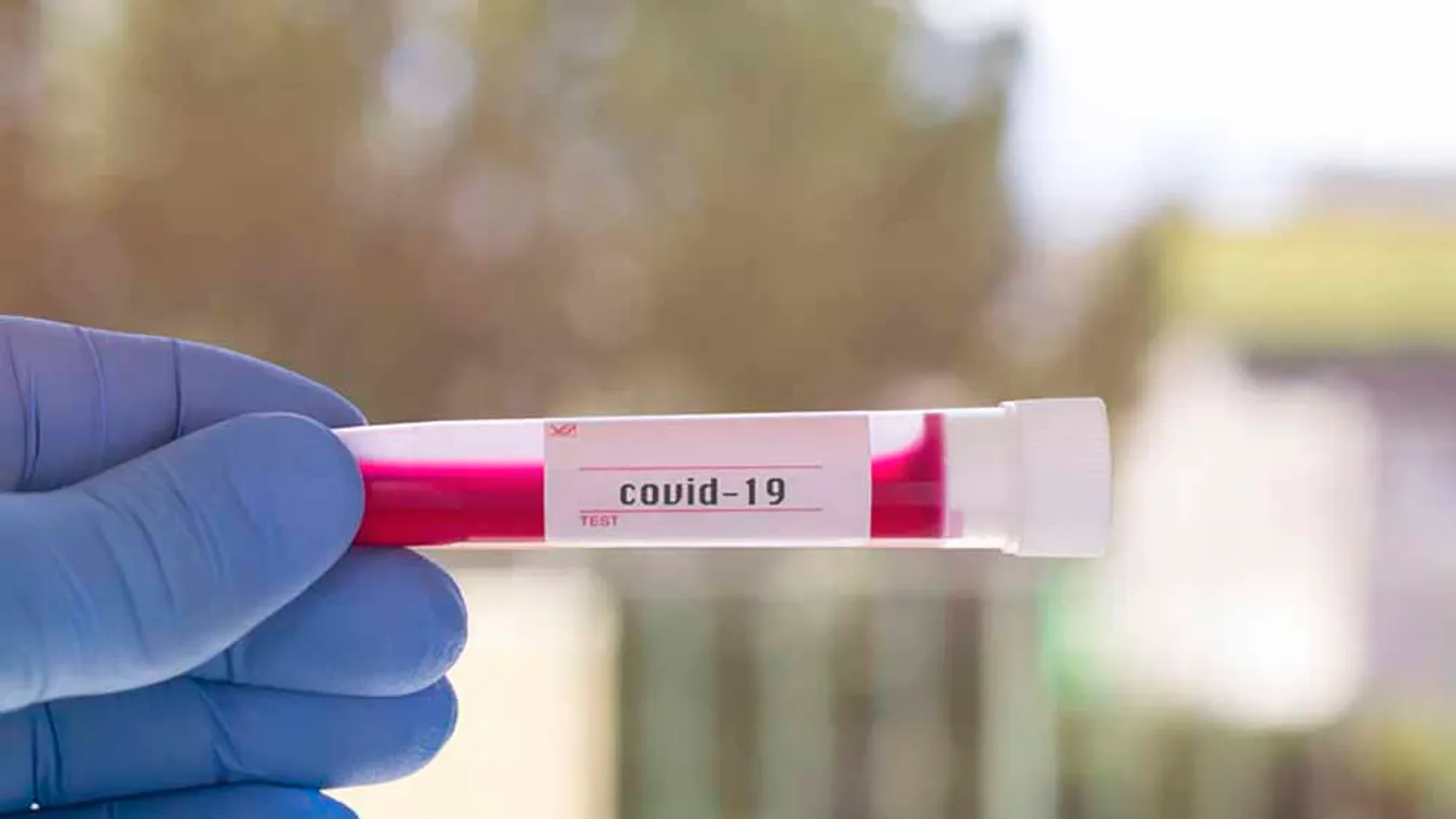 Magyar egyetemek a Covid-19 betegség genetikai vonatkozásait kutatják