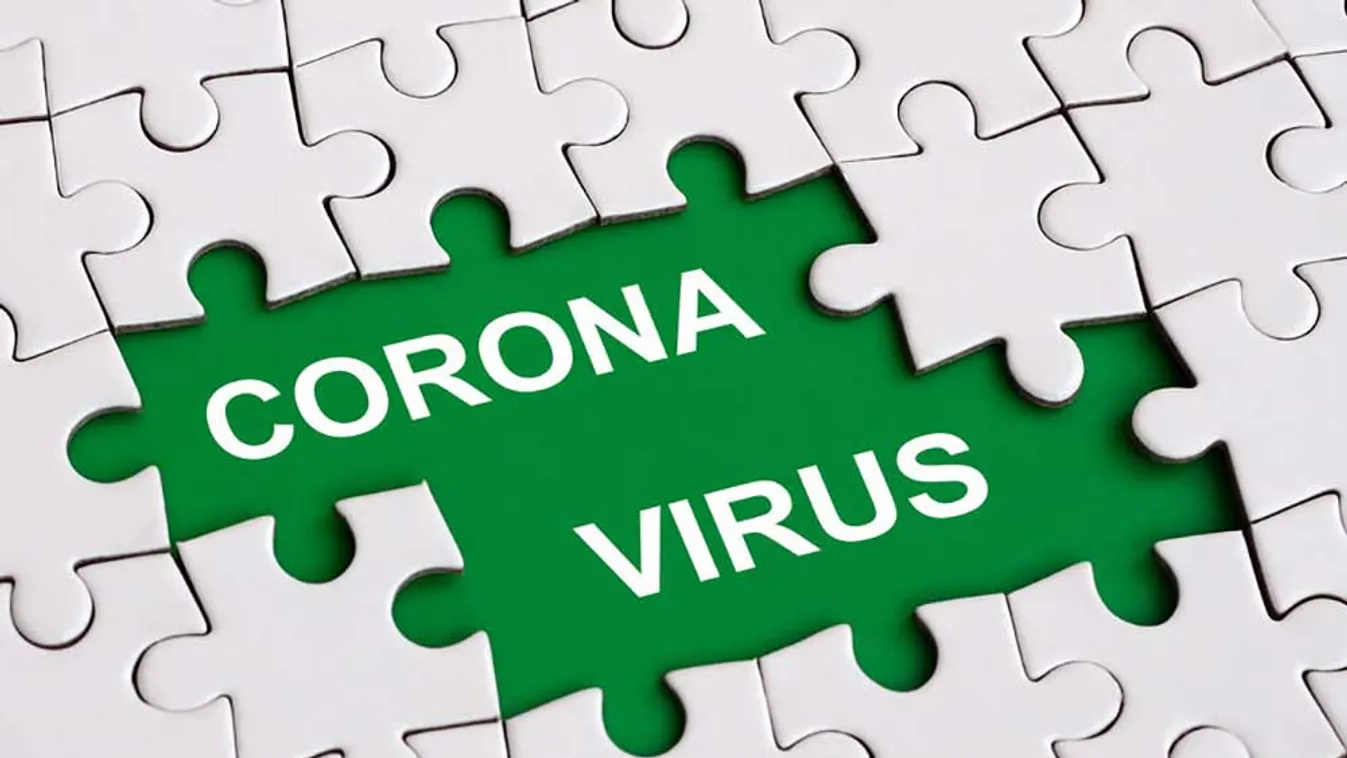 Koronavírus - Orvosegyetemisták is segítik a védekezést, a gyorstesztelést