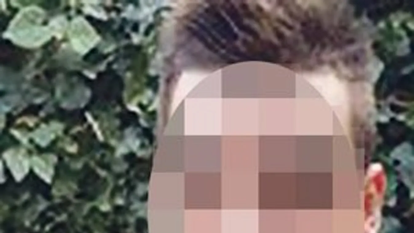 Gyilkosság Pécsett – Egyetlen késszúrás végzett a testépítővel