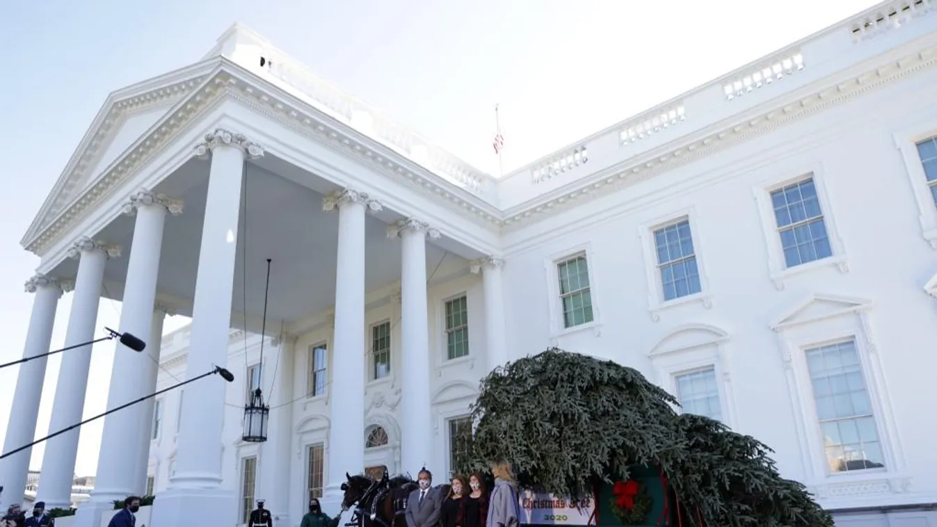 Lovas kocsin érkezett a Fehér Ház karácsonyfája a washingtoni elnöki rezidenciához