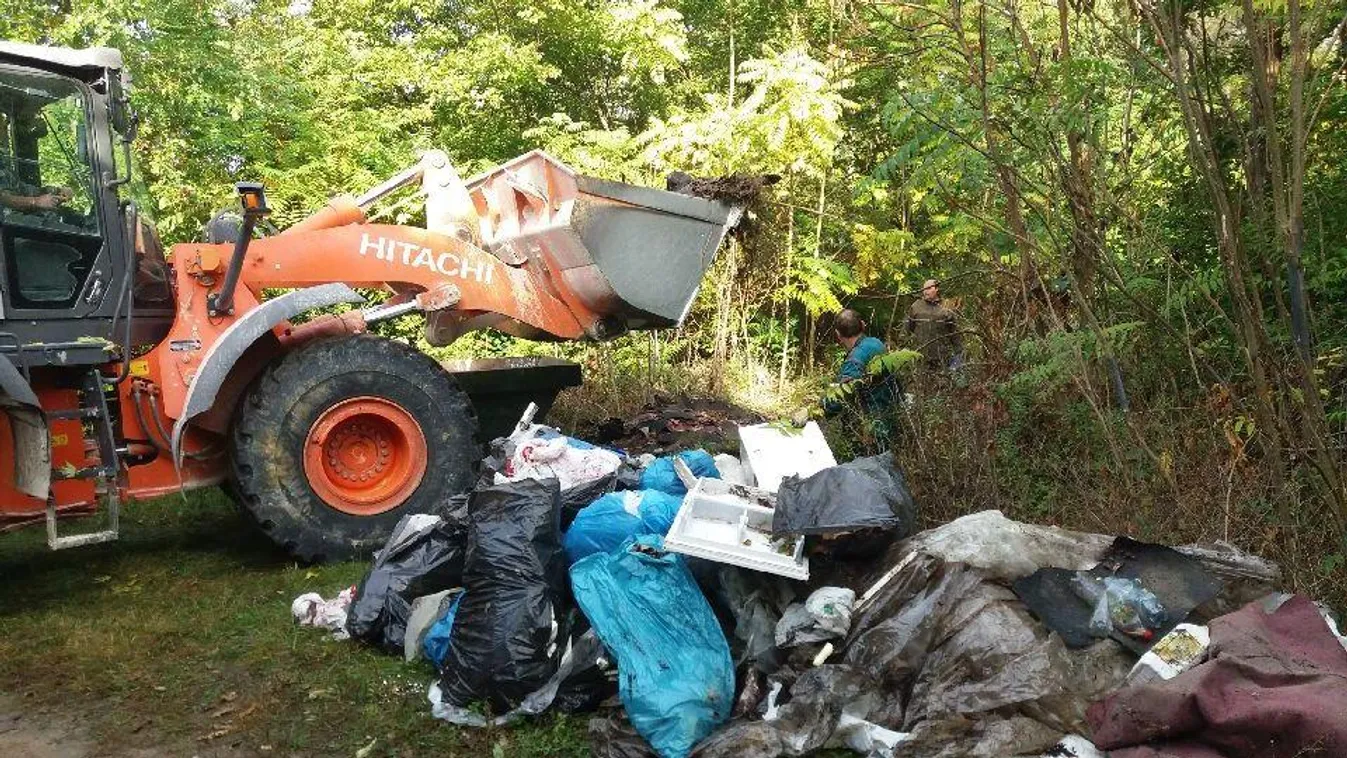 Ezekből a hulladékfajtákból találták a legtöbbet idén ősszel az erdőkben