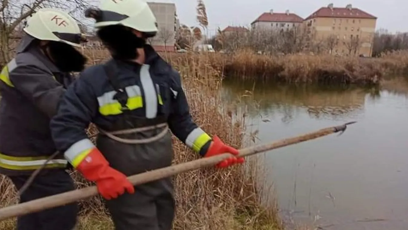 Tragikus vég: kiskunfélegyházi tó mélyén találtak rá a karácsonykor eltűnt asszonyra