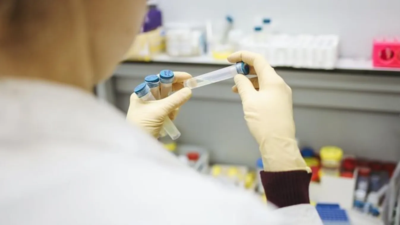 Jó hír: Indiában jóváhagyták az Oxford/AstraZeneca vakcina használatát