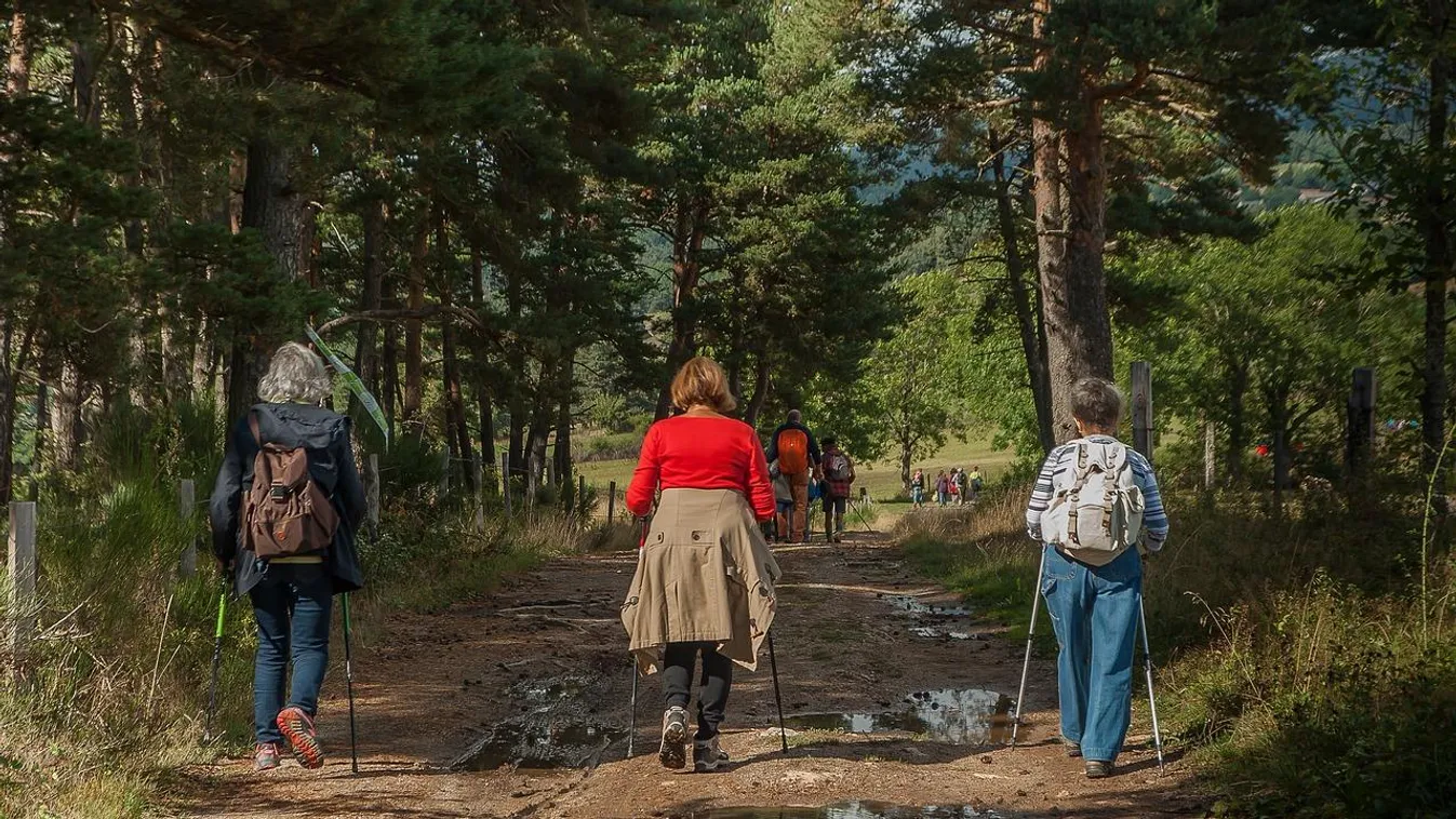 Hatalmasra nőtt tavaly a túrázási kedv, rengeteg új természetjáró kezdett kéktúrázni