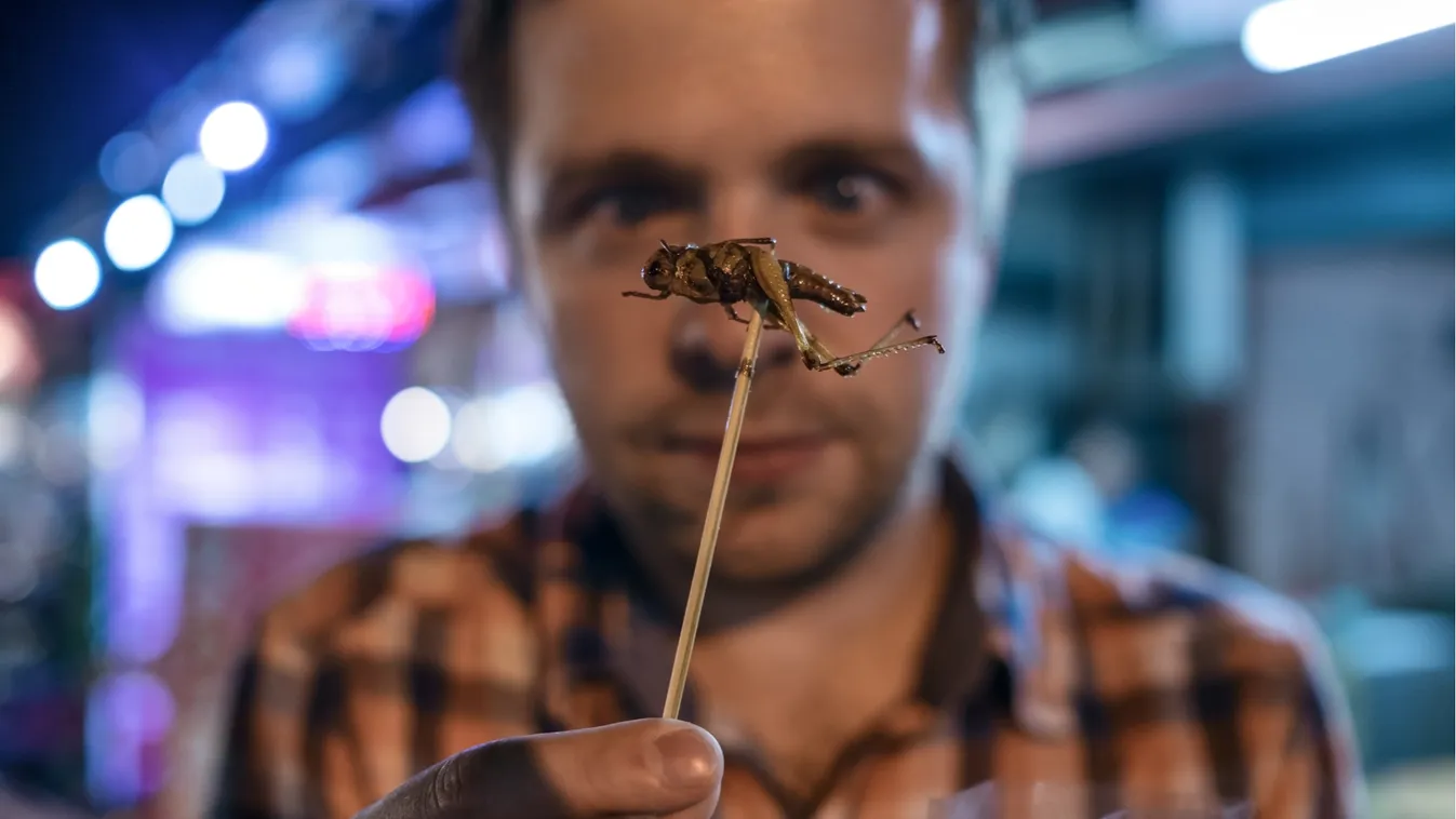 "Végy fél kiló lisztbogarat..." Na, de miért ennénk rovarokat? Dietetikus válaszol