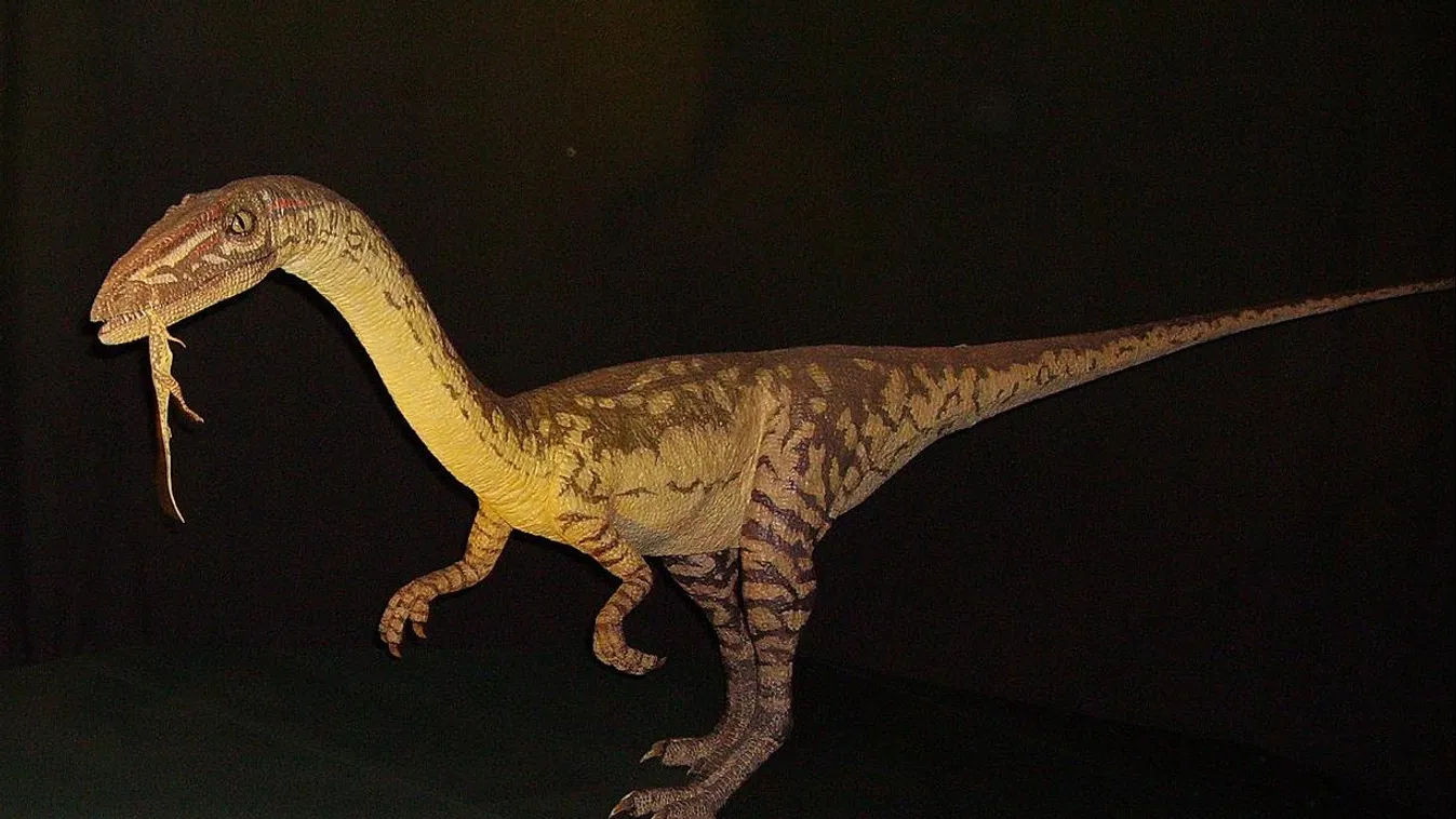 Jól kivehető dinoszaurusznyomot fedezett fel egy négyéves kislány