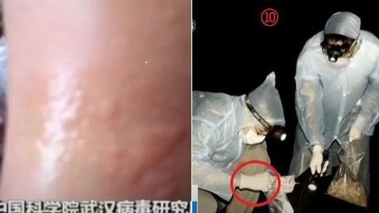 https://cdn.borsonline.hu/2021/01/nGHjblm4x8CAarCxTeGjbBXy_PVU0CN-7wQr_9OAkM0/fill/550/310/no/1/aHR0cHM6Ly9jbXNjZG4uYXBwLmNvbnRlbnQucHJpdmF0ZS9jb250ZW50L2MyNTA2ZjM1MTZlYTQ0MzhiMDAxYjFhN2JiNjEwNmM2.jpg