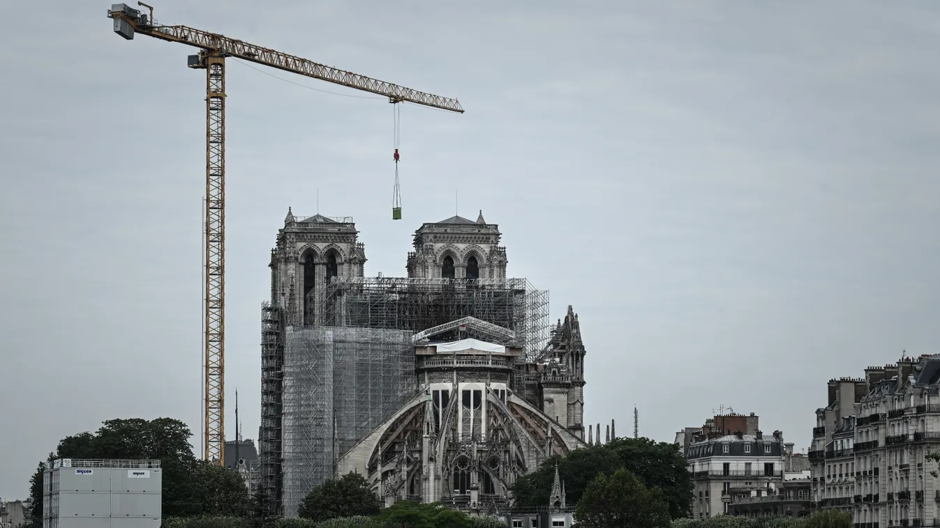 Még a francia királyok telepítették az erdőket, melyekből most fát vágnak