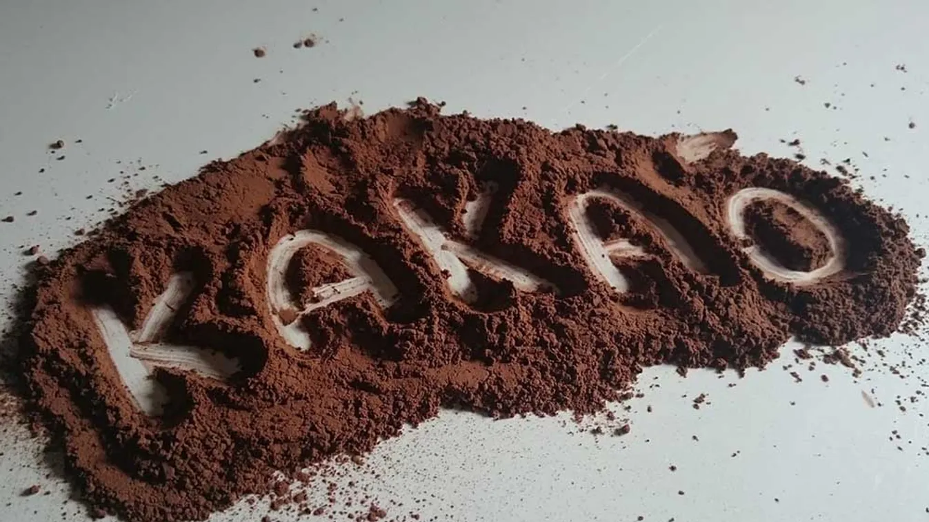 Így hat a kakaó az agyra