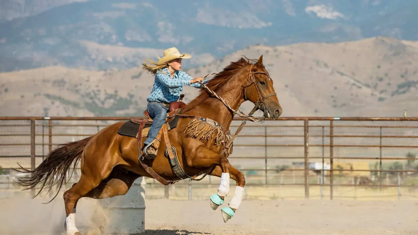 Csapasd cowboy! –  a westernlovaglásról