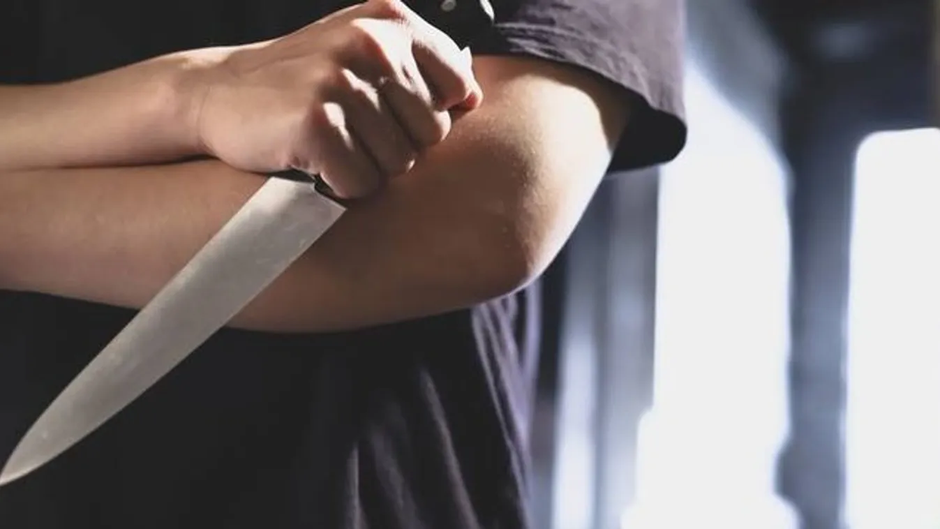 Arra ért haza a házaspár, hogy hét családtagjuk, köztük egy baba elvágott torokkal hever a padlón - 18+