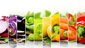 Védelem és antioxidánsok – Mit kell tudni róluk? 2. rész