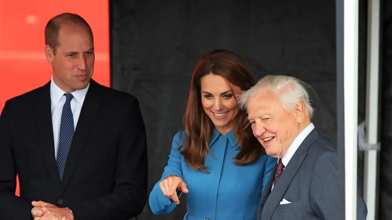 Sir David Attenborough hatalmas jégszobra figyelmeztet a klímaválságra