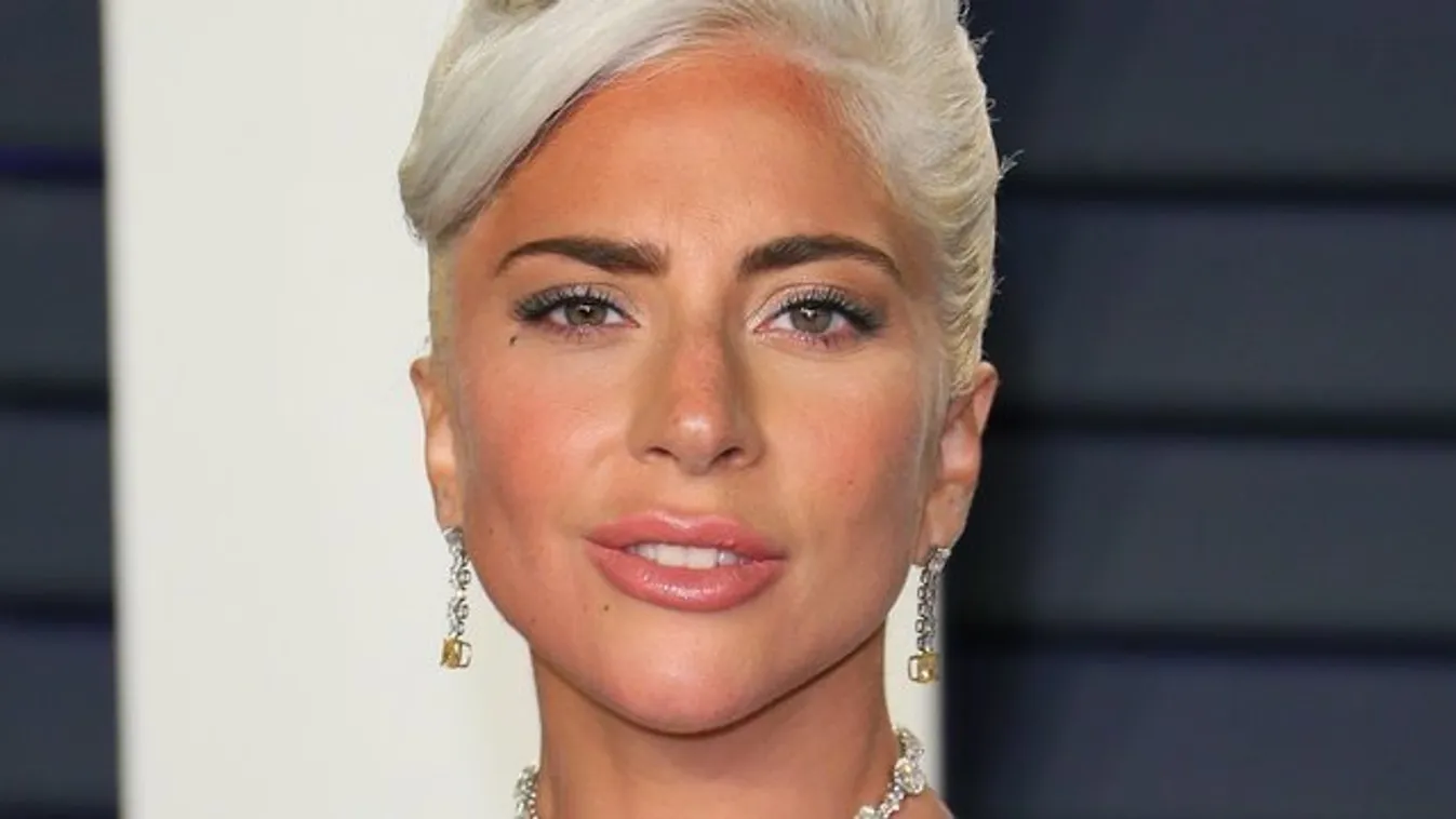 Örömhír: Épségben előkerültek Lady Gaga elrabolt kutyái