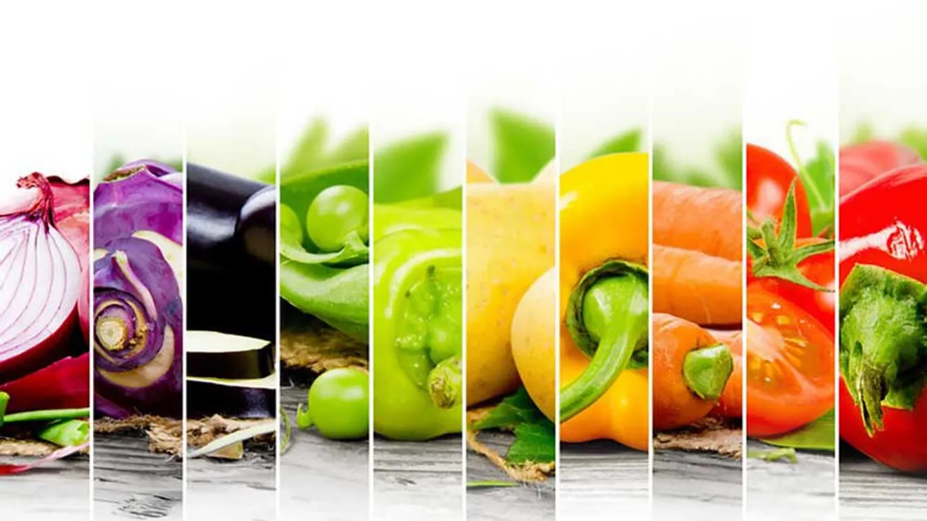 Védelem és antioxidánsok – Mit kell tudni róluk? 2. rész