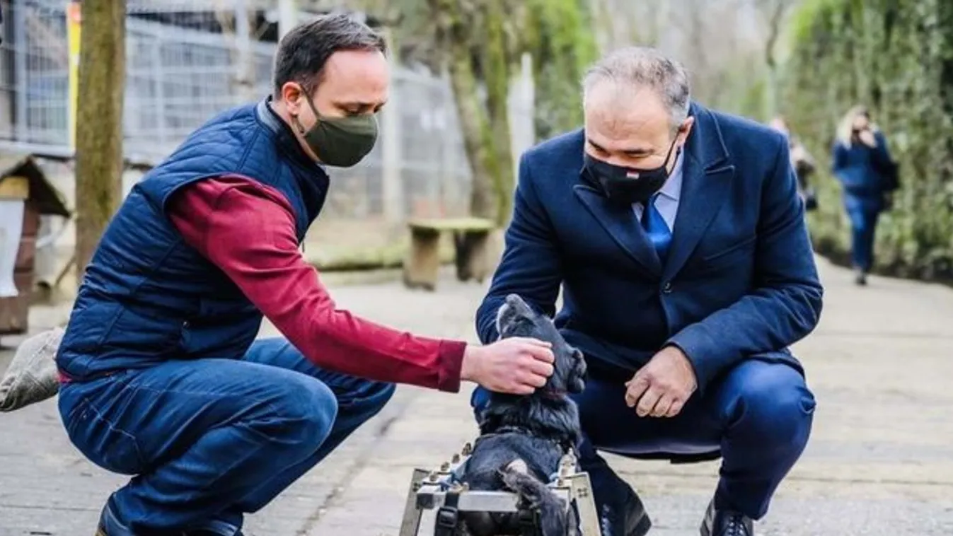 Itt mondhatja el, mit gondol az állatvédelemről – videó