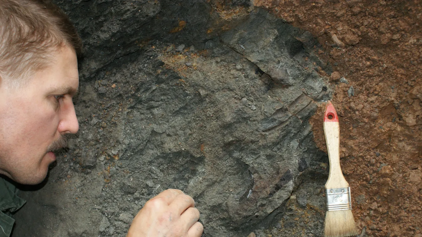 Magyar tudósok Erdély ősi dinoszauruszait kutatják Hátszegen