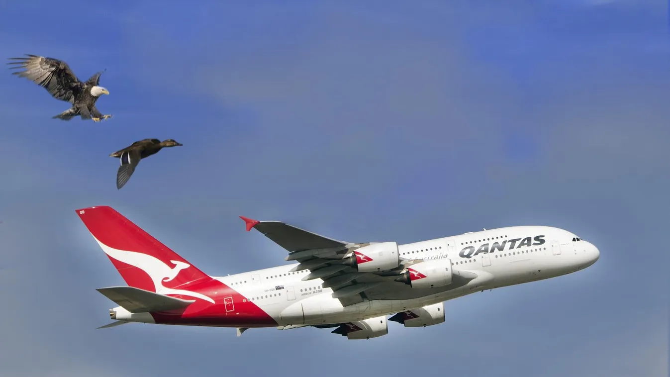 A Qantas három belföldi titkos járatot fog indítani