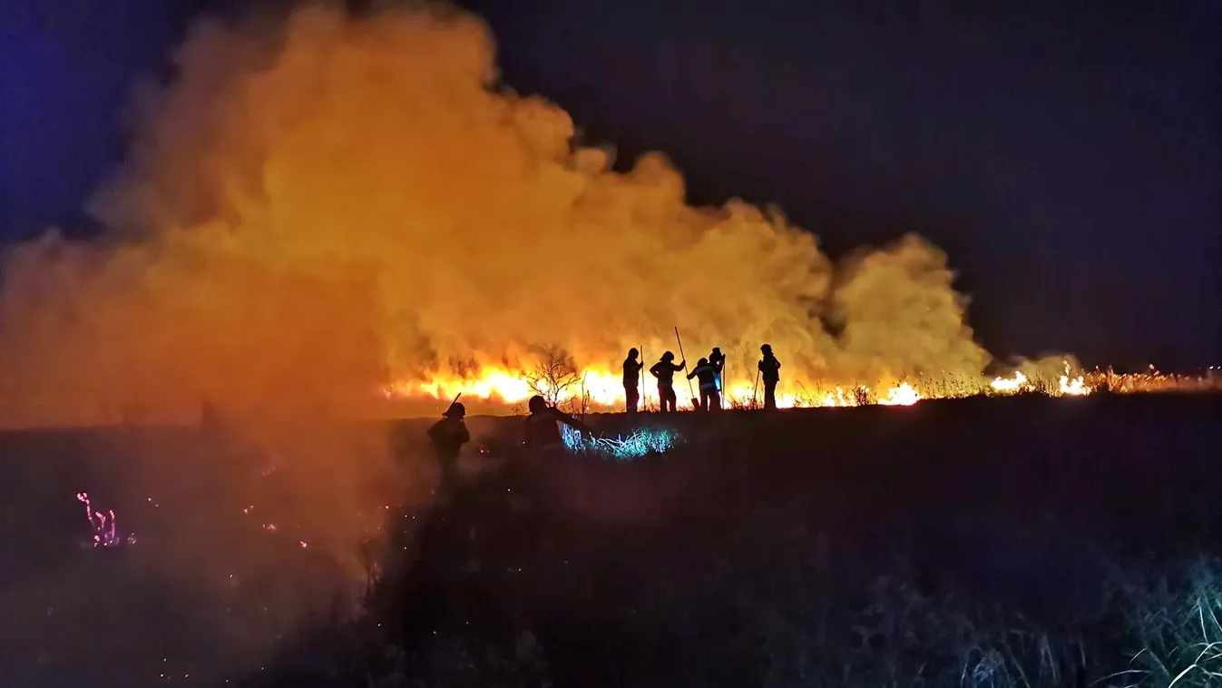 Apró állatok váltak a tűz martalékává, és egy magasles is leégett a fonyódi nádastűzben