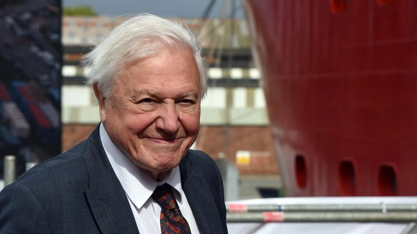 Sir David Attenborough kedves levelet írt egy aggódó kisfiúnak