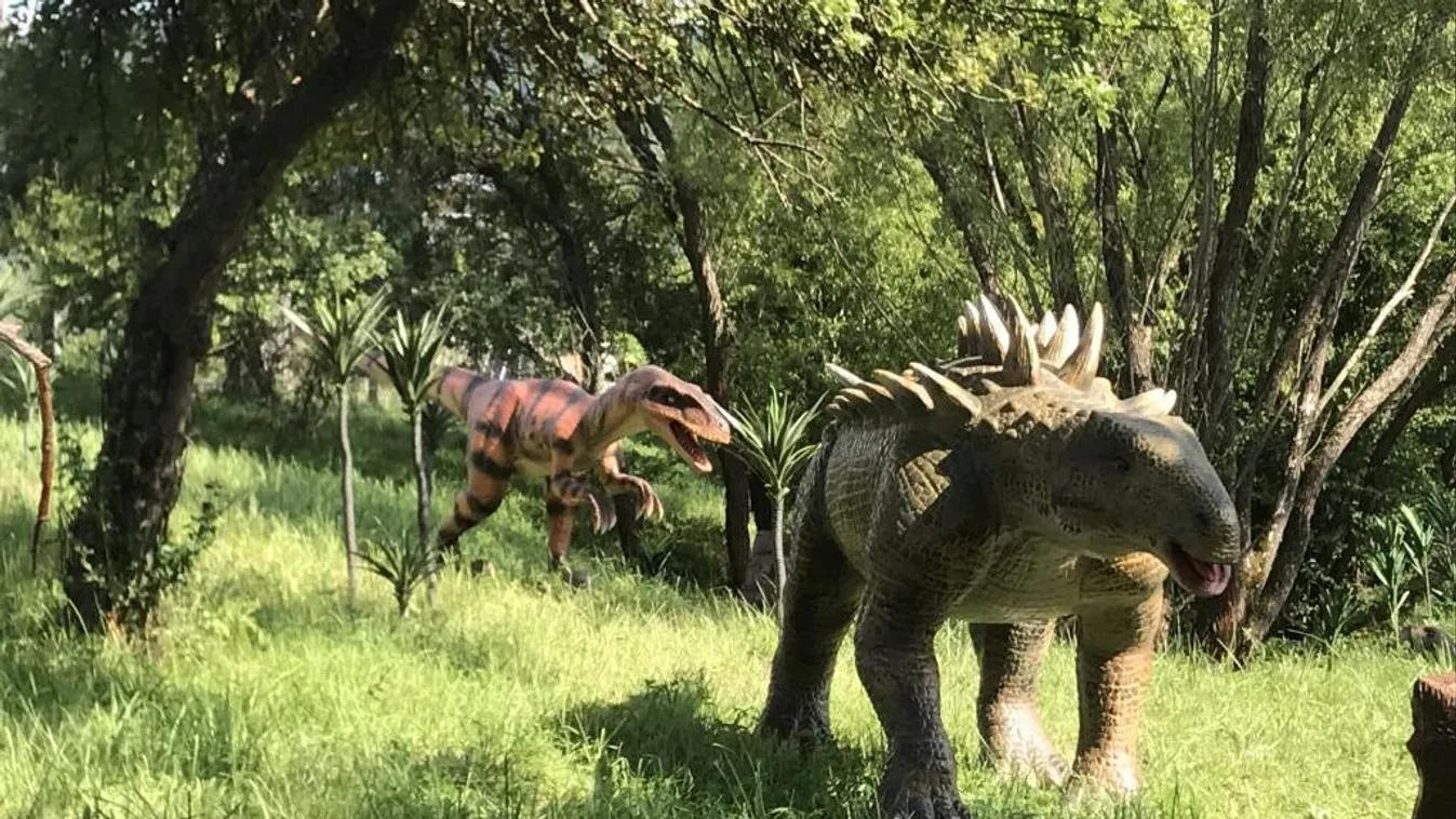 Mozgó és ordító dinoszauruszoktól hangos őslénypark nyílik Siófokon