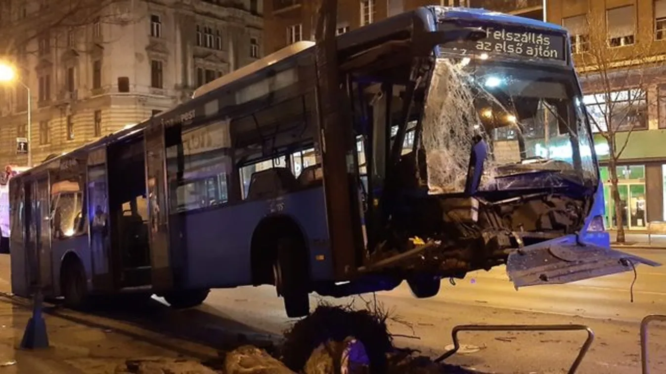 Letarolta a korlátokat és fát döntött ki egy busz hajnalban Budapesten